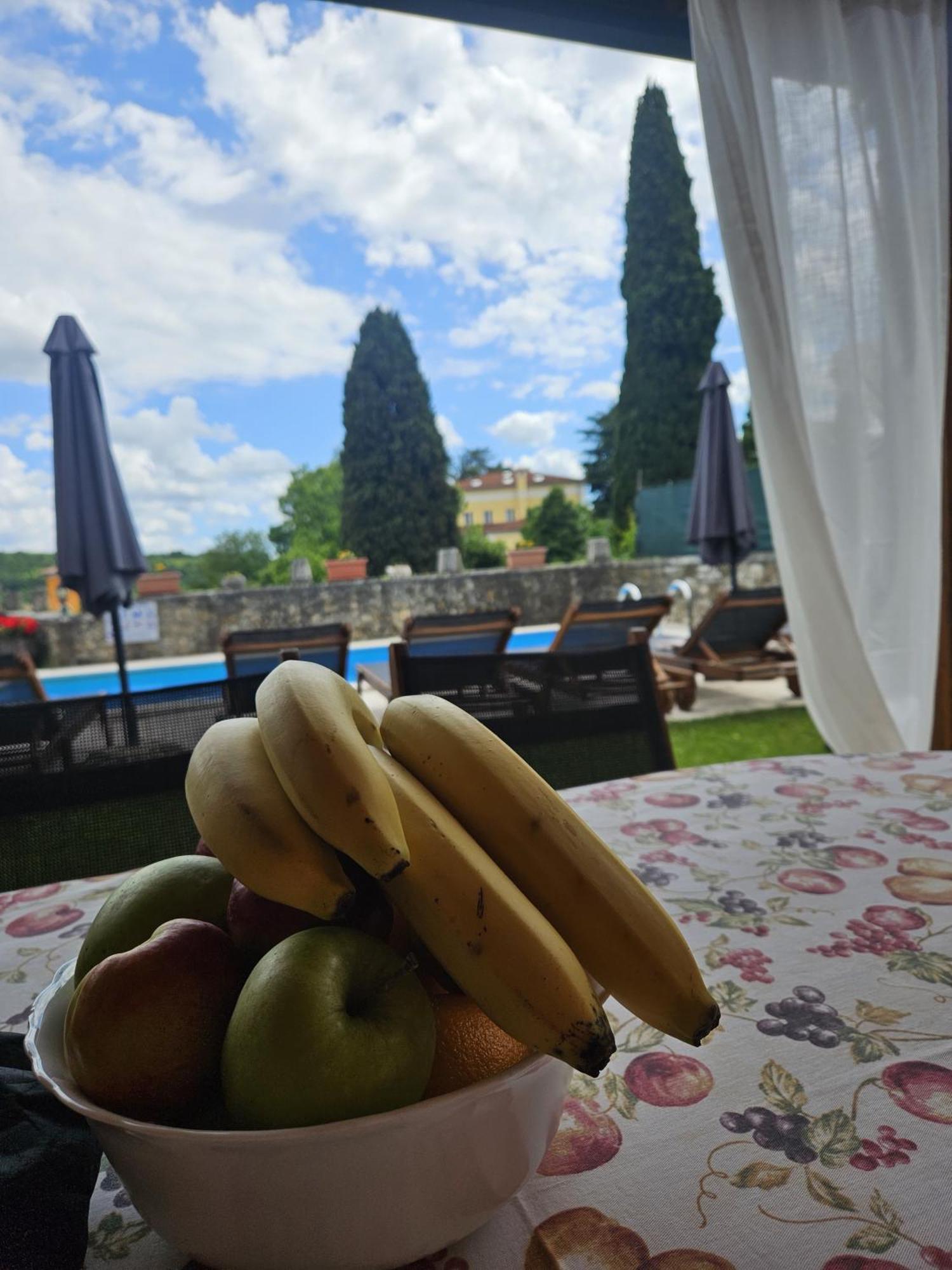 Villa Letizia Oprtalj Экстерьер фото