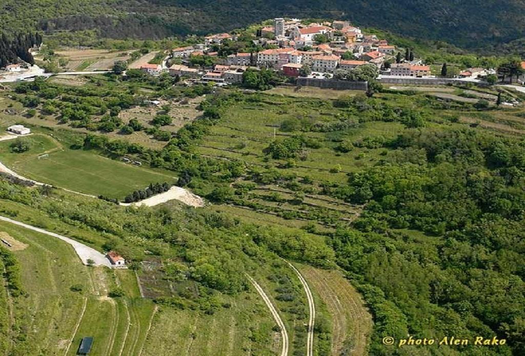 Villa Letizia Oprtalj Номер фото